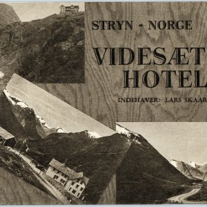 c1930s Stryn, Norway Luggage Label Videsaeter Hotel Decal Resort Photo 2C