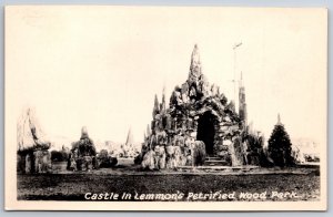 RPPC~California~View Of Castle In Lemmon Petrified Wood Park~Real Photo Postcard