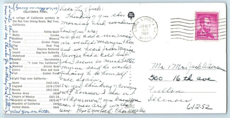 VACAVILLE, CA ~ Roadside NUT TREE DINING ROOM Collage 1967 - 3.5x7.25 Postcard 