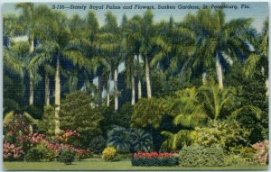 M-24126 Stately Royal Palms and Flowers Sunken Gardens St Petersburg FL