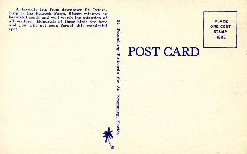 FL - St Petersburg. Peacock Farm