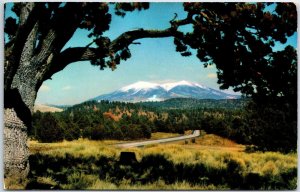 VINTAGE POSTCARD U.S. HIGHWAY (ROUTE) 66 WILLIAMS ARIZONA POSTED 1957 STOCKTON