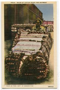 African American Man Loading Cotton Bale Tennessee linen postcard