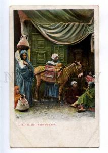 235497 EGYPT CAIRO children & DONKEY Vintage postcard