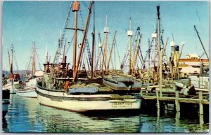 1958 Fisherman's Wharf San Francisco California CA Ships Boats Posted Postcard