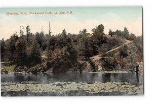 St. John New Brunswick Canada Postcard 1907-1915 Rockwood Park Mountain Road