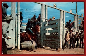 Ya Hoo, Yowie! Rodeo - [MX-1113]