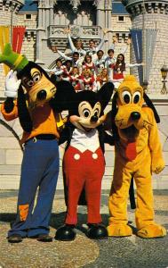 Walt Disney World 0100-10221, Goofy Mickey and Pluto Pose,  Vintage Postcard