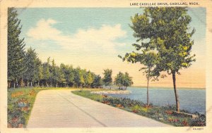 Cadillac Michigan 1940 Postcard Lake Cadillac Drive