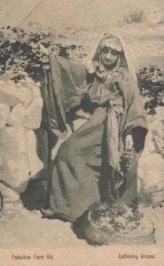 Palestine India Indian Farm Farming Lady Life Antique History Postcard