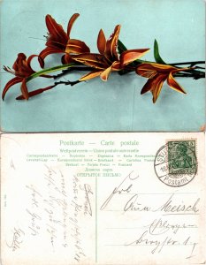 Orange Daylilly (32799