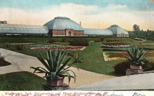 Vintage Postcard 1907 Washington Park Conservatory & Flower Gardens Chicago IL