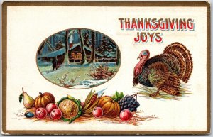 Thanksgiving Joy Fruits And Turkey Holiday Greetings Postcard