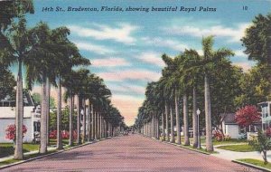 Florida Miami Bradenton 14th Street Showing Beautiful Royal Palms Artvue