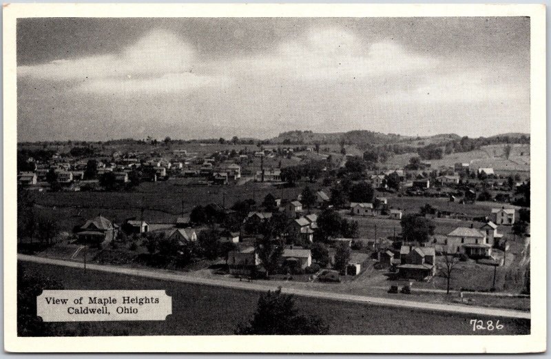 View Of Maple Heights Caldwell Ohio OH Buildings Residences Postcard