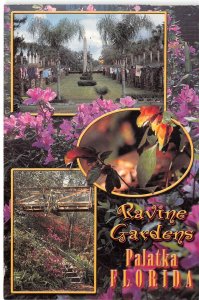 US14 USA Ravine Gardens Palatka Florida multi view 2002