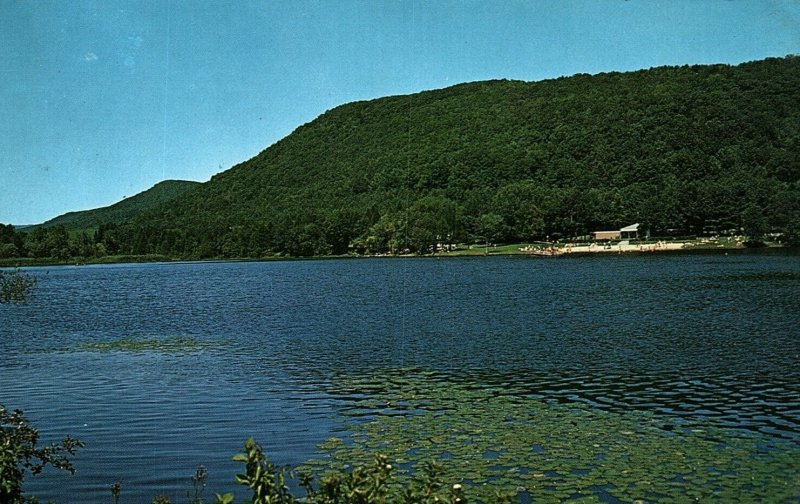 1960s MILLERTON NEW YORK RUDD POND TACONIC STATE PARK CHROME POSTCARD P919