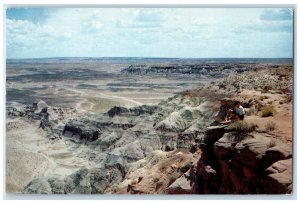 1960 Petrified Forest National Monument Petroglyphic Winslow Arizona AZ Postcard