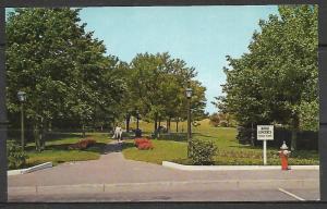 Massachusetts, Chatham - Kate Gould Park - [MA-184]