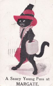 A Saucy Young Puss Cat at Margate Old Comic Postcard