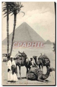 Old Postcard Egypt Egypt Egypt Camels and Drivers at the Pyramids