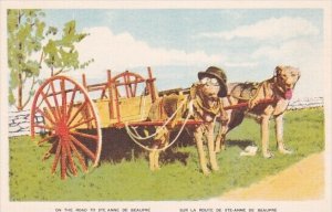 Dogs Pulling Cart On The Road ToSte Anne De Beaupre