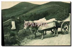 Postcard Old Basque hitch Oxen