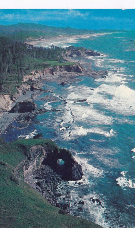 Oregon Seacoast Otter Crest