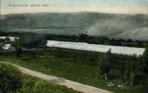 State Nursery in Helena, Montana