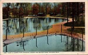 View in Loomis Park, Lagoon and Beaver Pond, Jackson MI c1920 Postcard R76