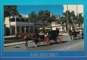 Texas San Antonio Horse and Carriage