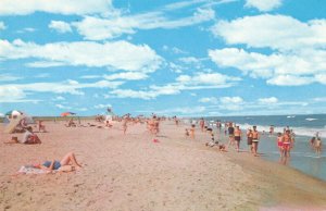 Chincoteague-Assateague Beach Sun Bathers East Coast Virginia Postcard 10c1-441