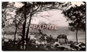 Postcard Modern Lavandou La Faviere