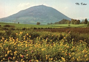 Postcard Mount Tabor Battle Site Historic Mountain Lower Galilee Israel