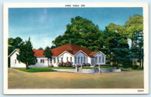 LYNNHAVEN, Virginia Beach Blvd VA ~ Roadside PINE TREE INN Restaurant Postcard