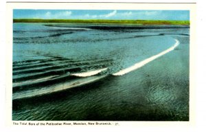 The Tidal Bore, Petitcodiac River, Moncton, New Brunswick,