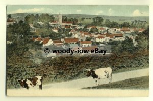 h0849 - Carisbrooke from the Castle , Isle of Wight - postcard FGO