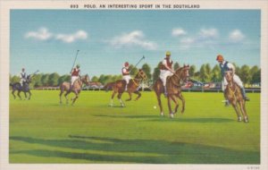 Polo An Interesting Sport In The Southland