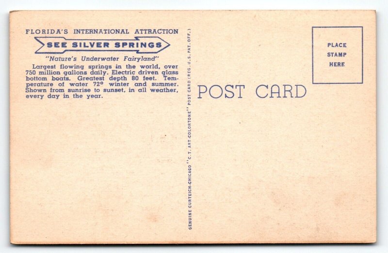 Greetings From Silver Springs Florida Large Letter Linen Postcard Unposted Boat