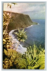 Vintage 1960's Postcard Surf Beach Waipio Valley on the Large Island of Hawaii