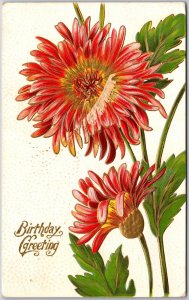 1911 Birthday Greeting African Daisy Large Print Flower Wishes Posted Postcard