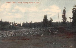 Rawlins Wyoming Sheel Grazing Vintage Postcard CC4150