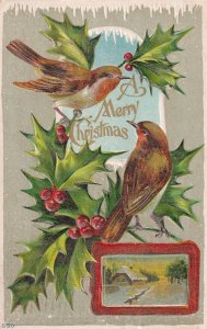 Merry Christmas Birds Holly 1912 Bradford Pennsylvania Rupp Postcard E42
