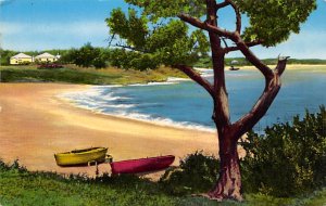 Pink Beach John Smith's Bay Bermuda Postcard