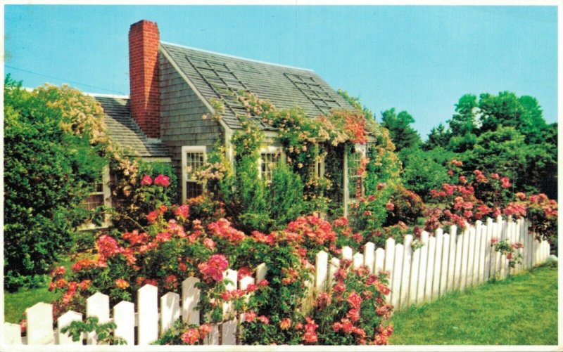 USA Typical Rose Covered Cottage Nantucket Massachusetts Vintage Postcard 07.52