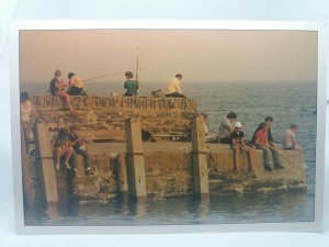 Anglers Night Fishing Off Typical Cornish Harbour Wall Lrg Vtg Postcard 1980s