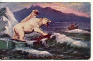 POLAR BEAR in ARCTIC  A/S  1907 art postcard