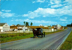 Pennsylvania Dutch Country Amish Family Buggy Driving Along Route 340 Near In...