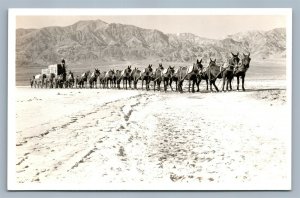 MULES CARRIAGE BORAX TRANSPORTED FROM MINES CA VINTAGE REAL PHOTO POSTCARD RPPC