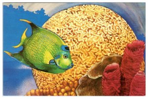 HERSHEYPARK, PA ~ Amusement Park ZOO AMERICA Living Coral Reef 4x6 Postcard
